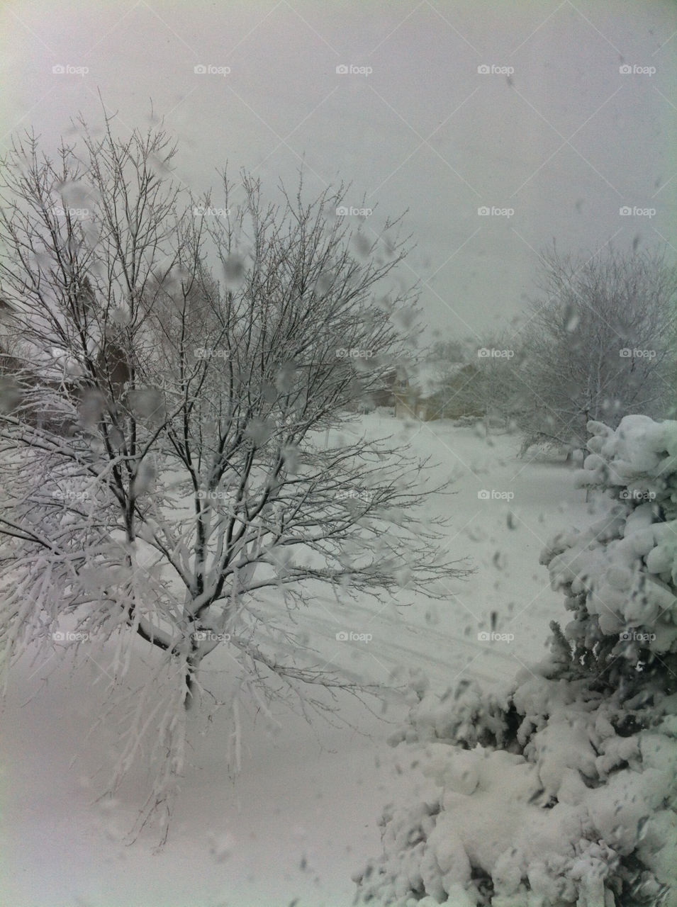 A snapshot of heavy snow outside the window.