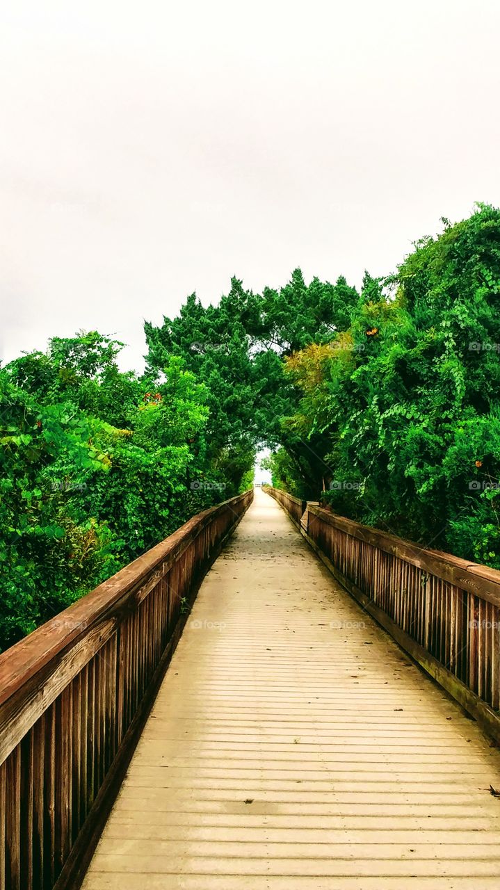 Beach Boardwalk
St.Augustine Florida