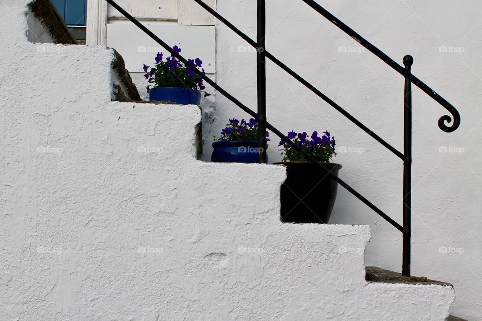 Potted plants in white stairs outdoors during spring