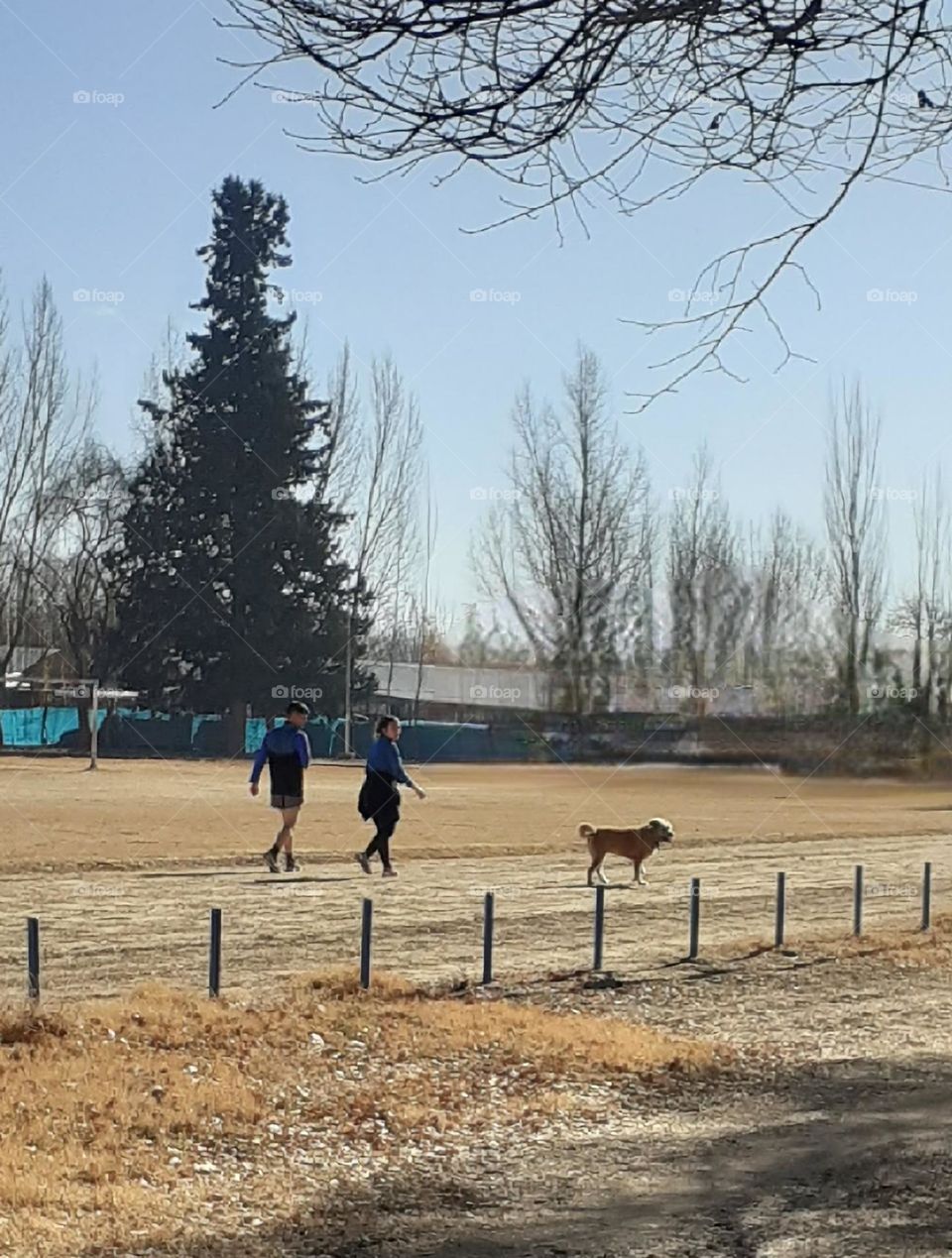 caminar es sano