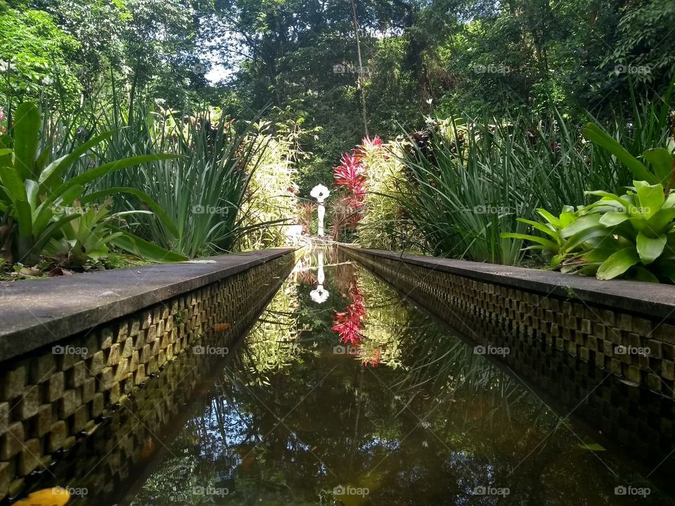 Jardim botânico