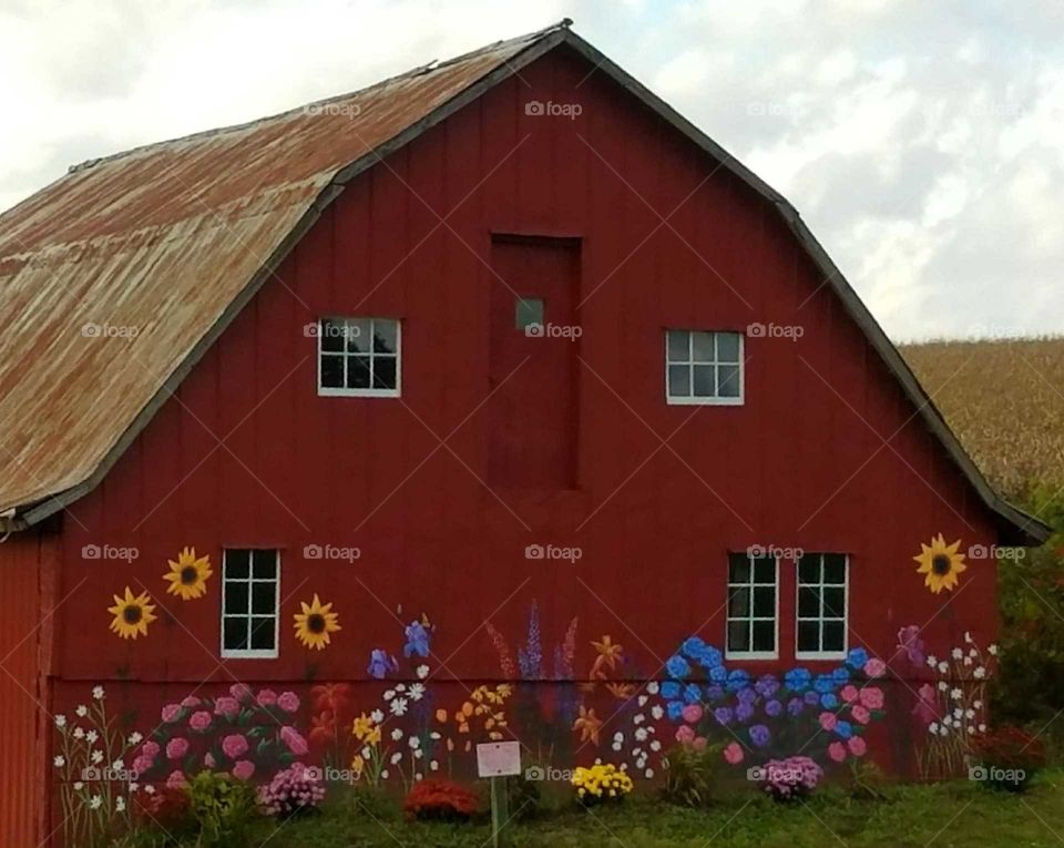 While driving the back roads we love seeing the little farms with the old buildings.  It reminds me when I was young.