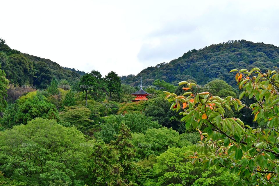 Japan's landscapes