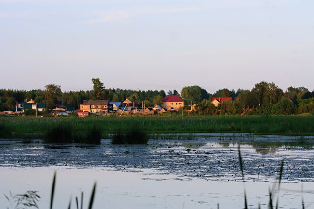 View from the shore