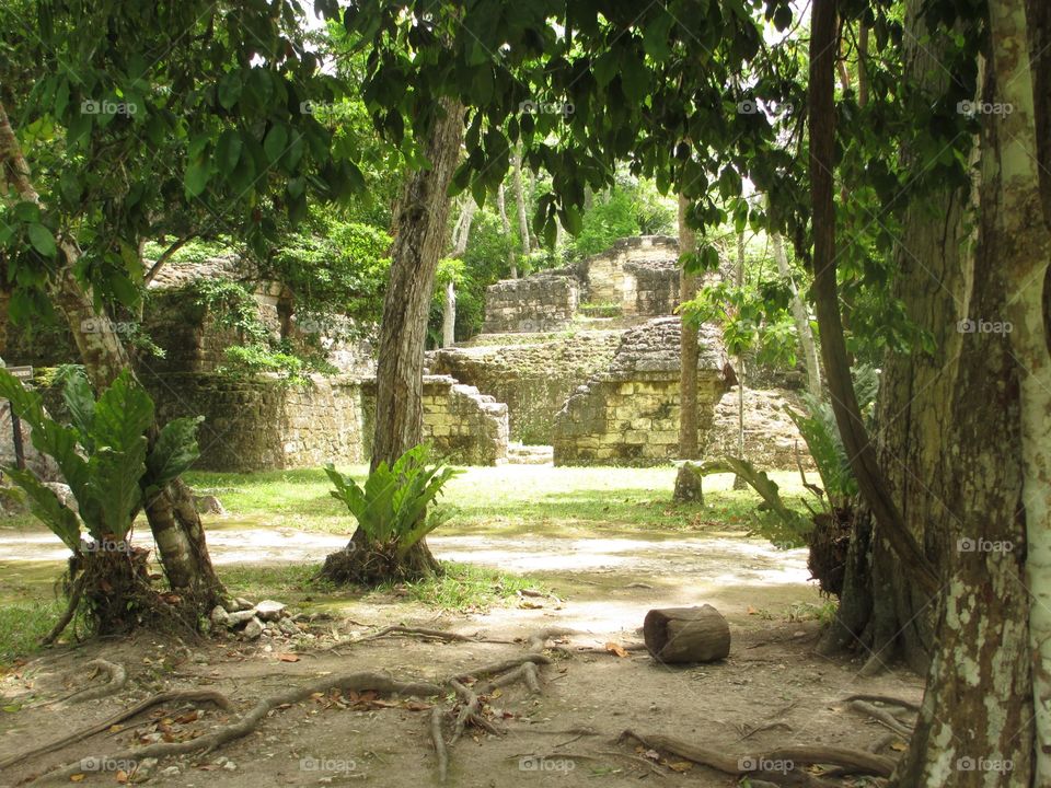 Mid summer in Tikal 