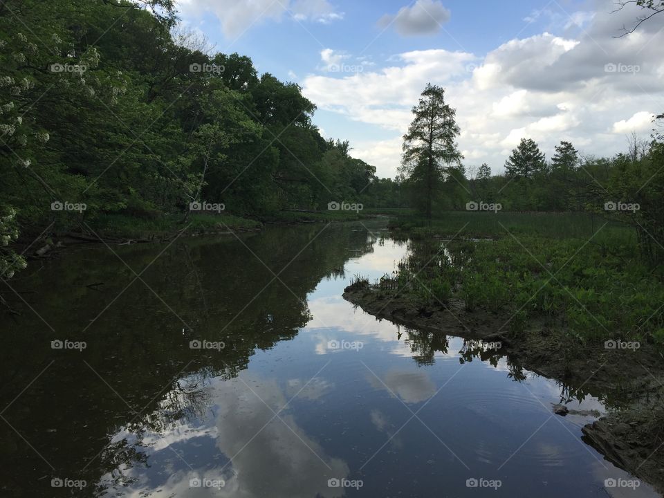 Roosevelt Island. Photo taken on Roosevelt Island, a park with nature trails, right outside of DC.