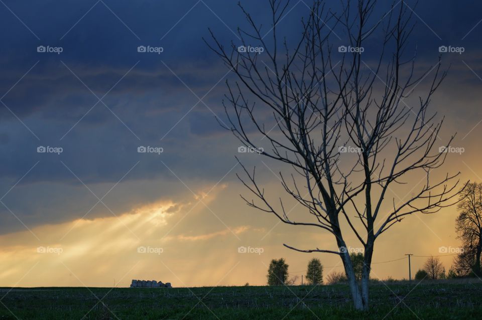 Illuminating sunrays