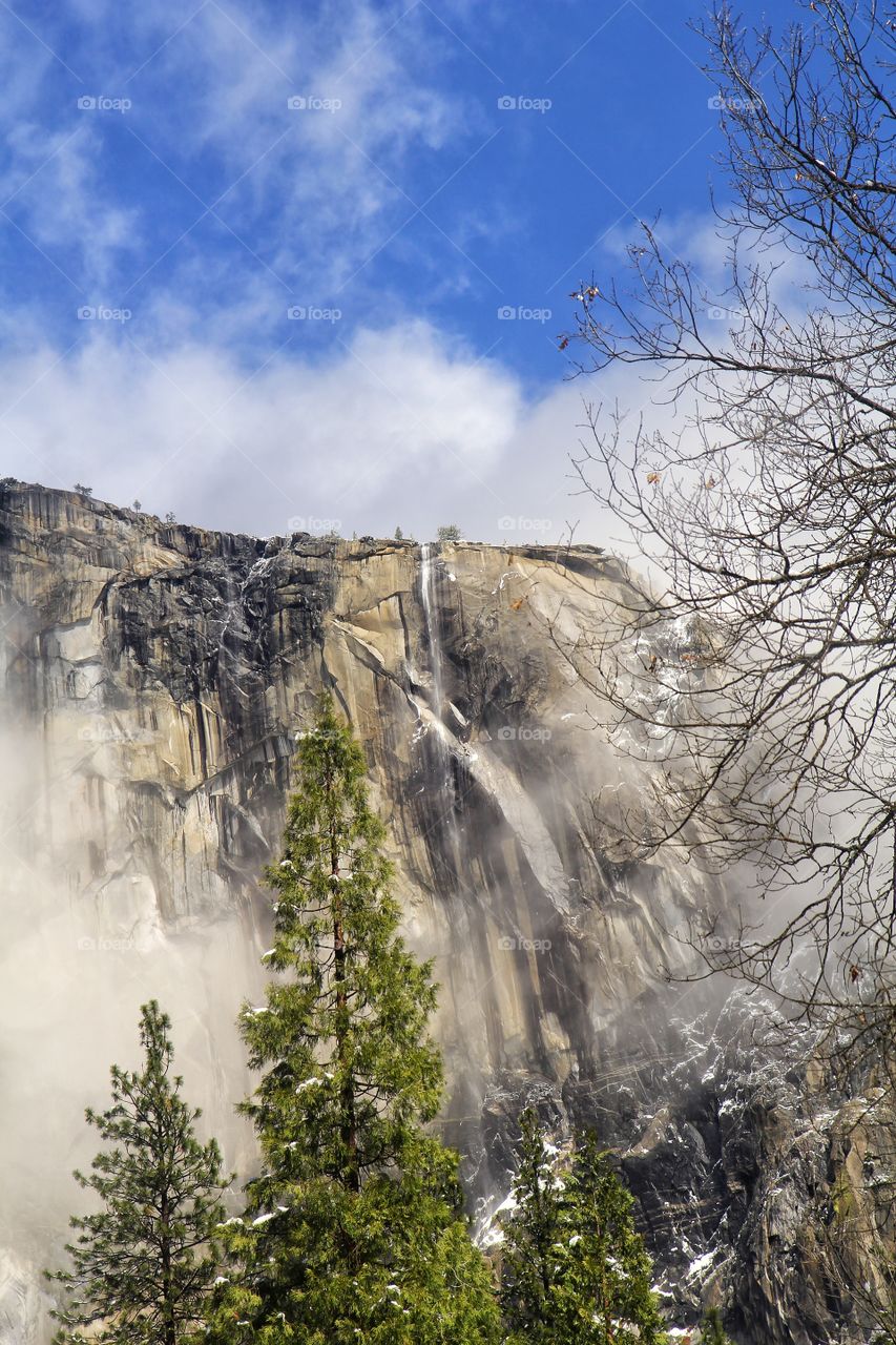 Yosemite morning fog