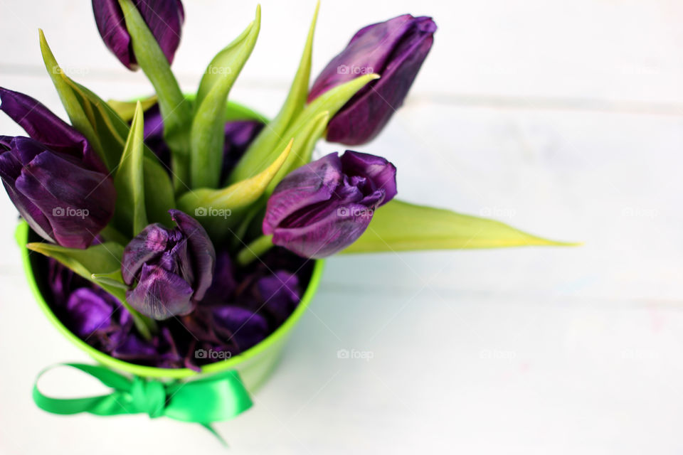 Tulips purple: congratulations, March 8 (International Women's Day), February 14th (Valentine's Day), holiday