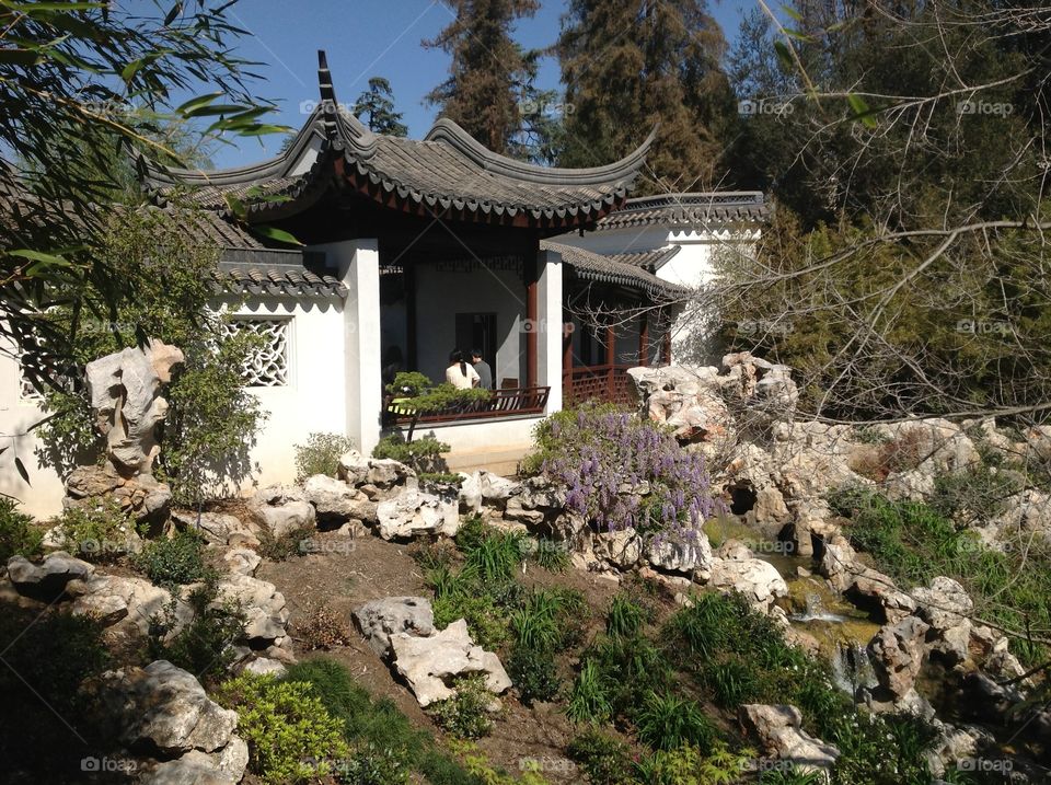 Chinese pavilion in the traditional style. The Garden of Flowing Fragrance,The Huntington, San Marino, California.