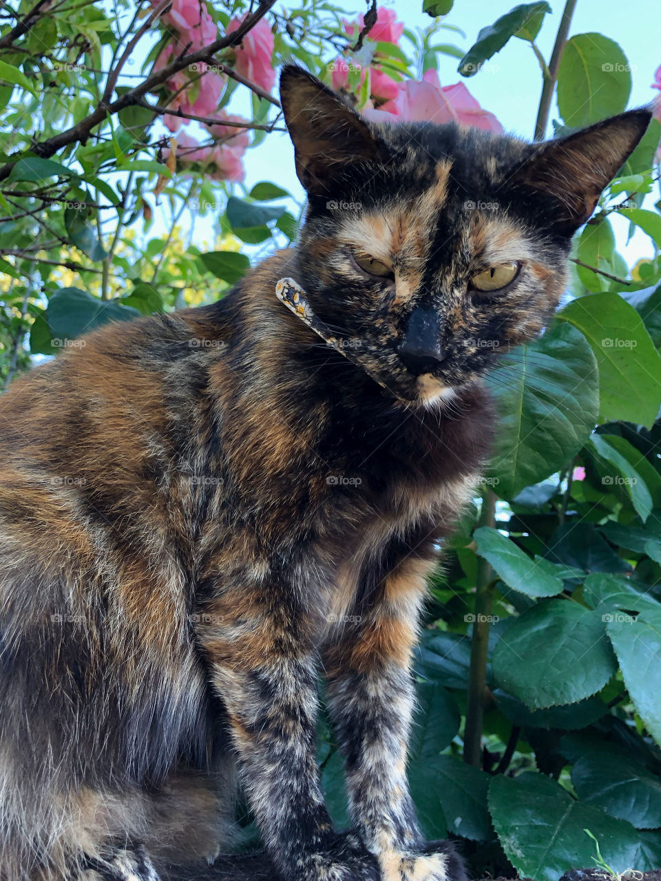 why are you so serious?