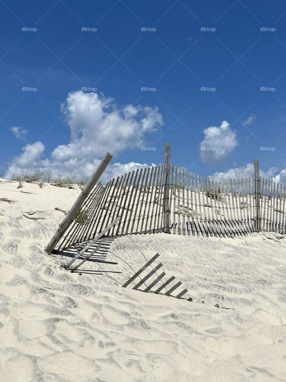 The Dunes at along Beach Island, NJ