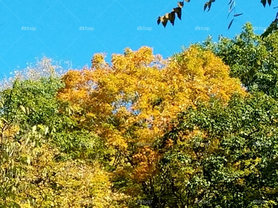 Driving the Back Roads and enjoying everything around us. The colors of fall.