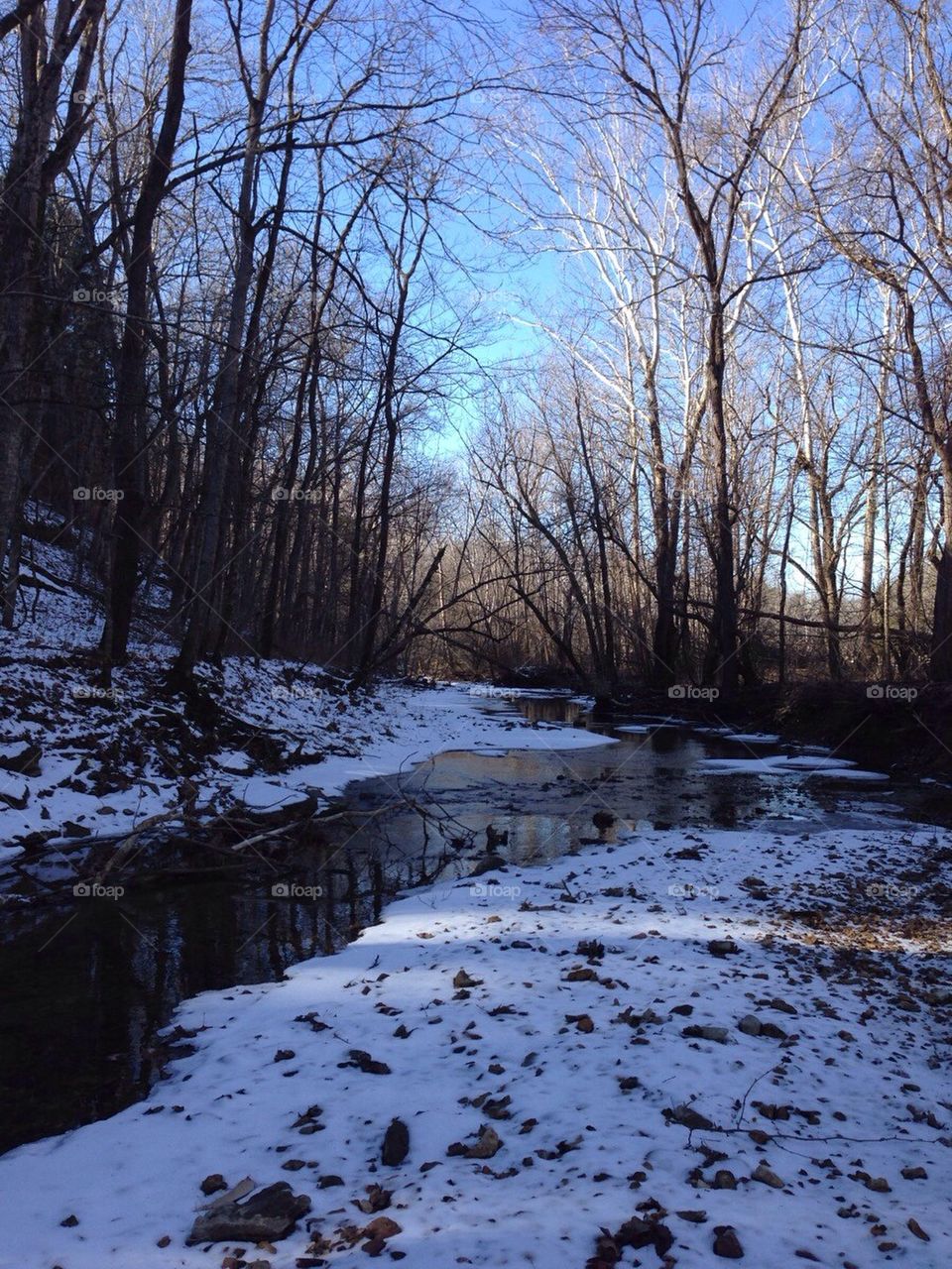 Creek in winter snow