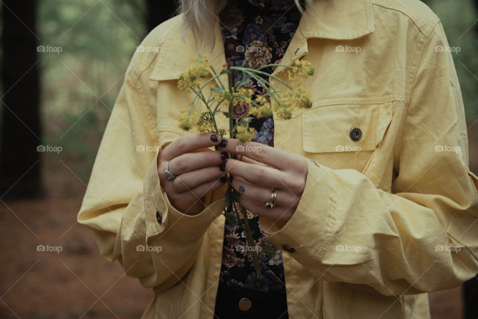 Field of flowers