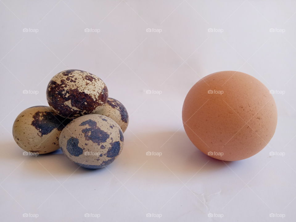 four quail's equal to a chicken egg.
