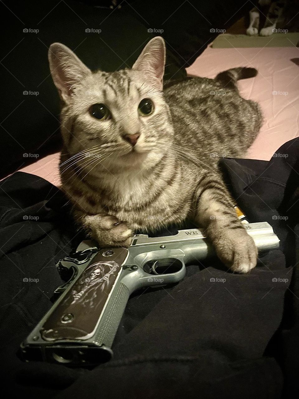 When you say so to giving her cat treats… The gun was not loaded, and the safety was on anyway. She is a better shot than me too! Who woulda thought!