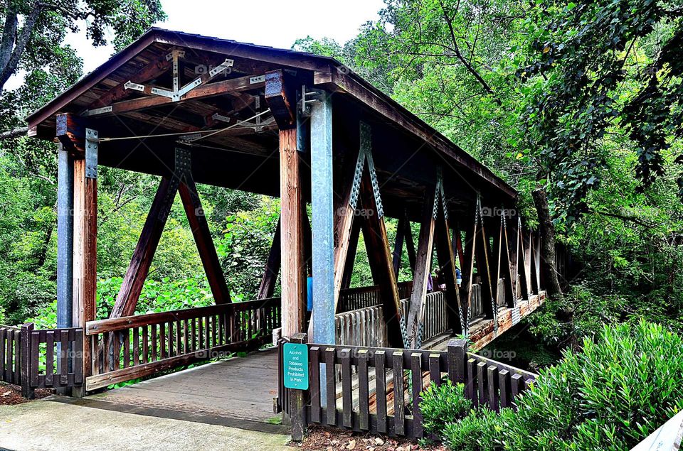 Bridge at Roswell Mill