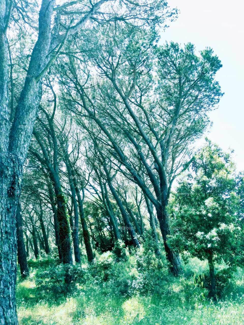 Editors' Choice - Photo of the Week