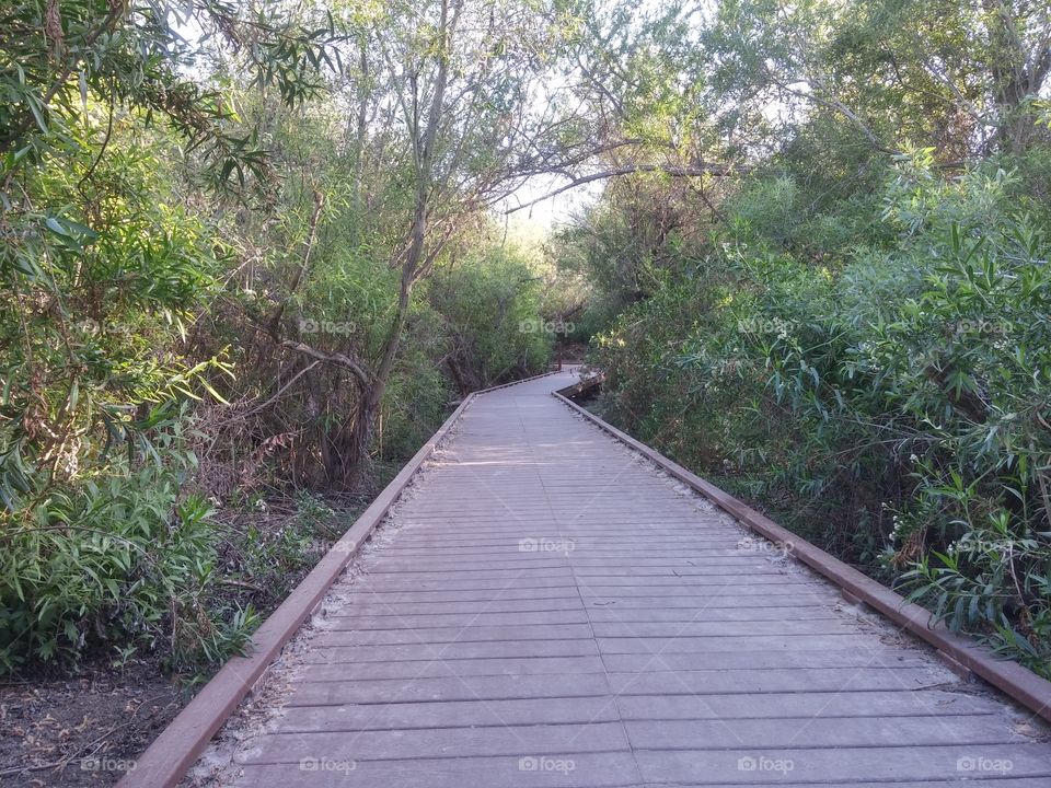 hiking path