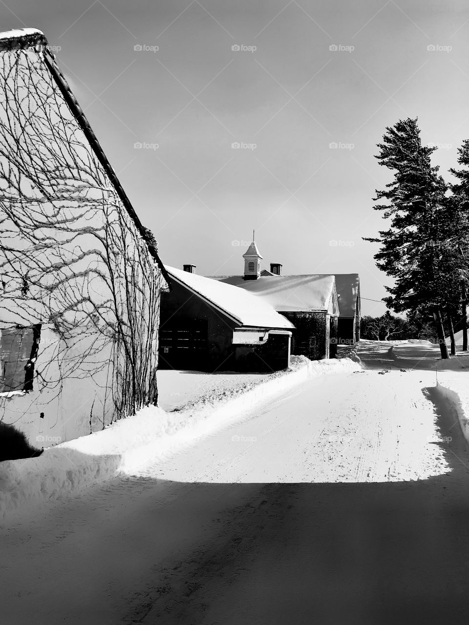 Old buildings black n white