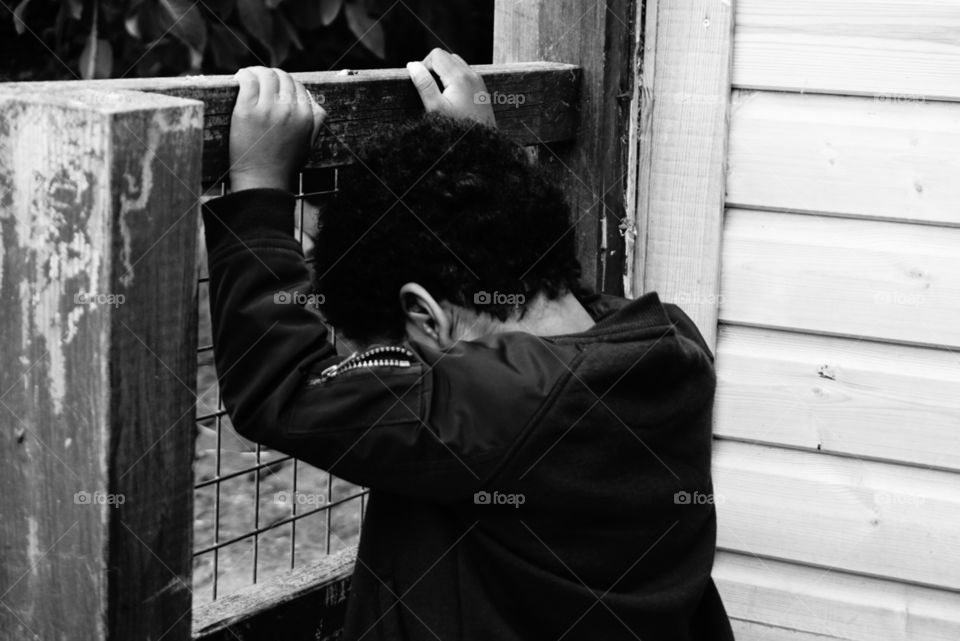 My son looking at the ducks