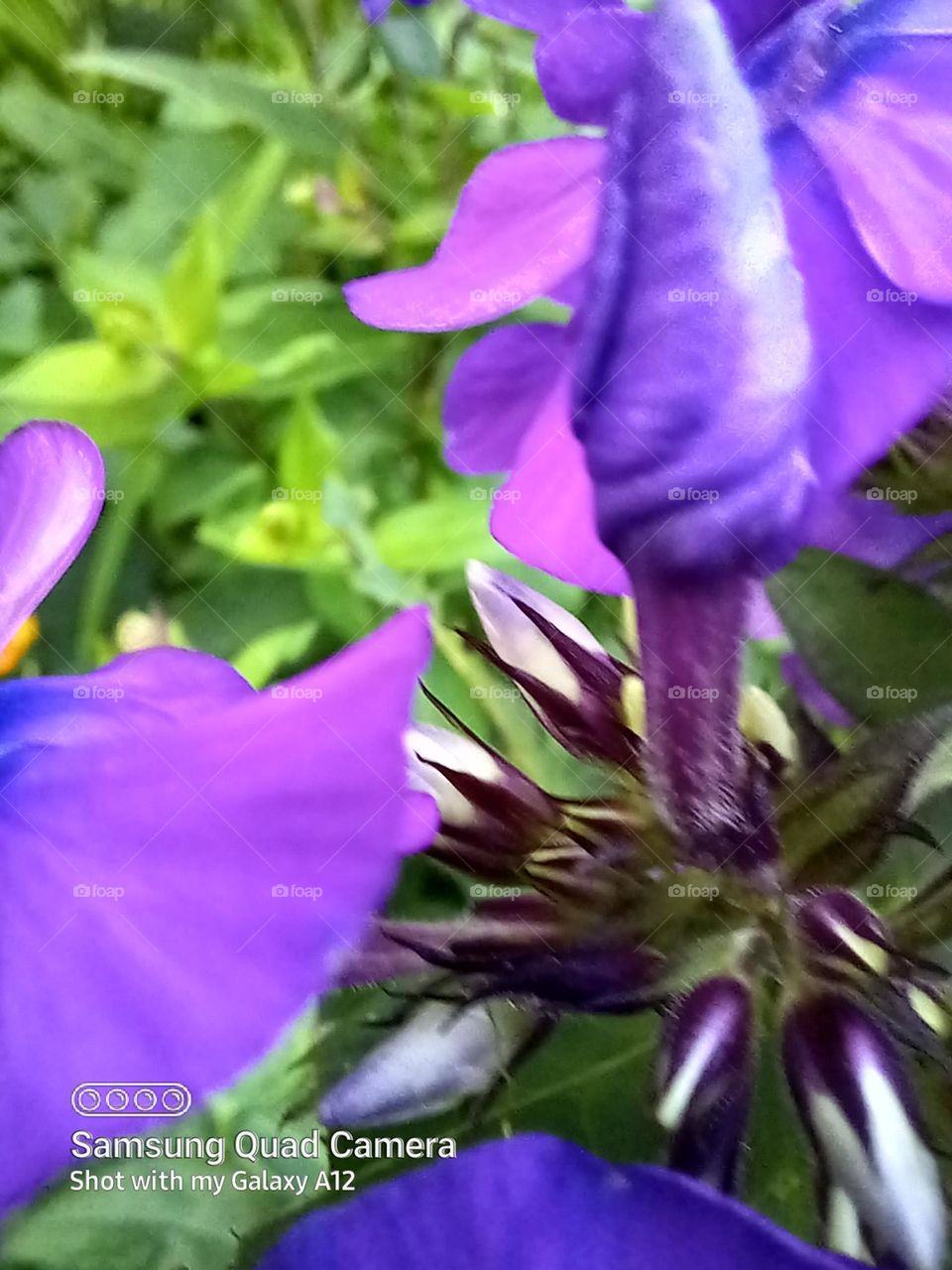 purple overload in full effect. Michigan has so much to offer!