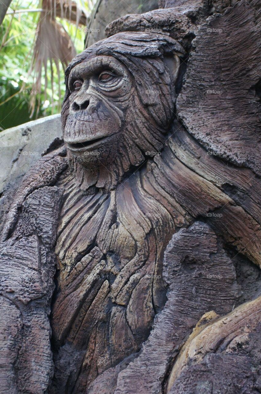 Ape carving