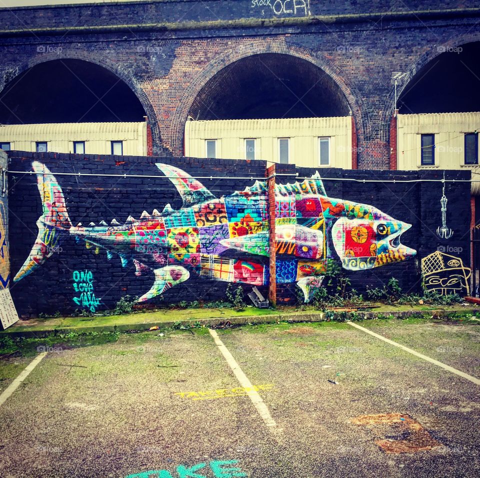 Fish graffiti in birmingham England under a bridge 