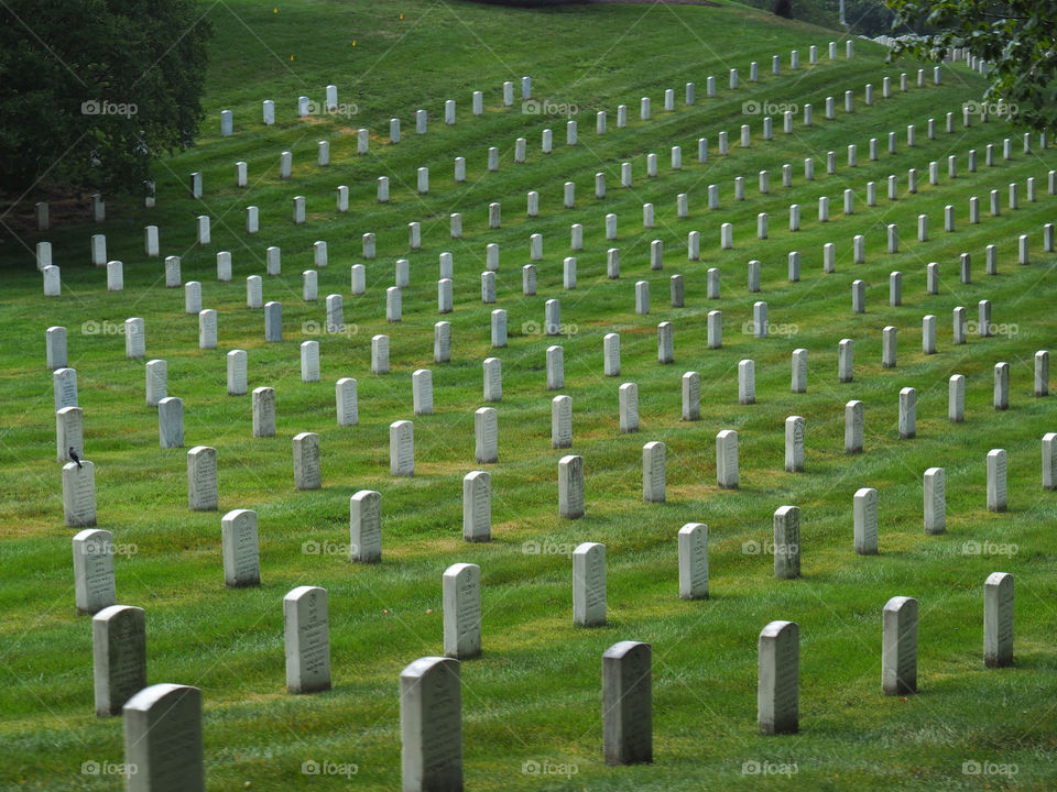  Washington Memorial Cemetery soldier deceased 
