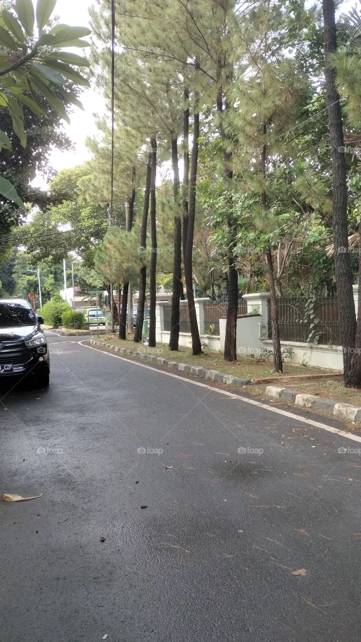 quite street