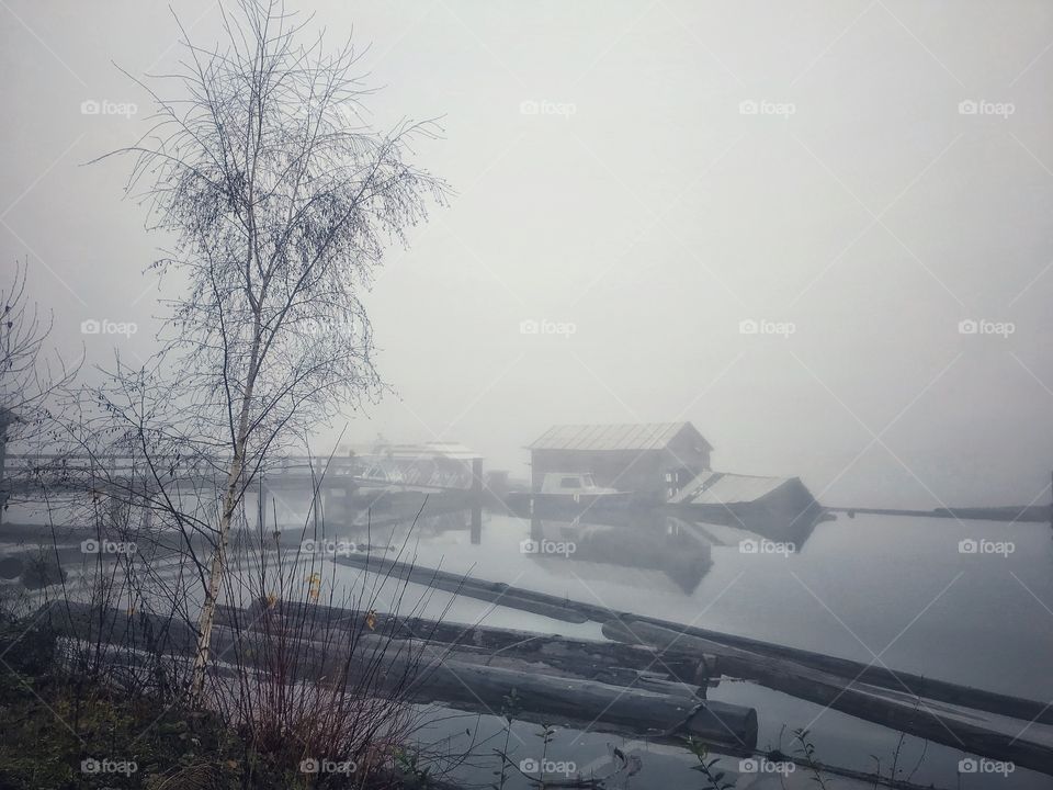 A foggy morning 