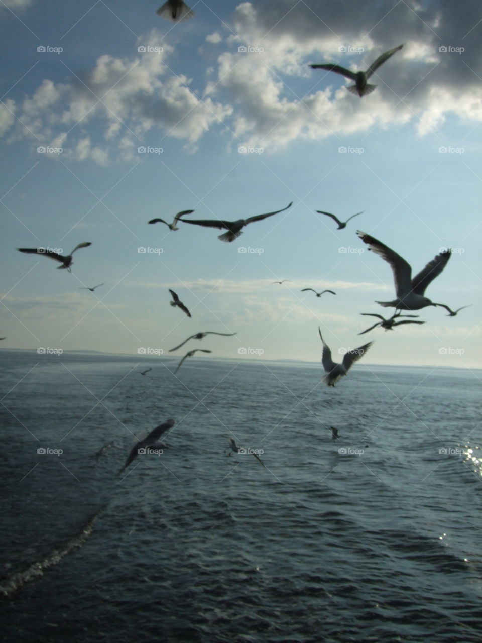 trip to Russia and Solovki-2011