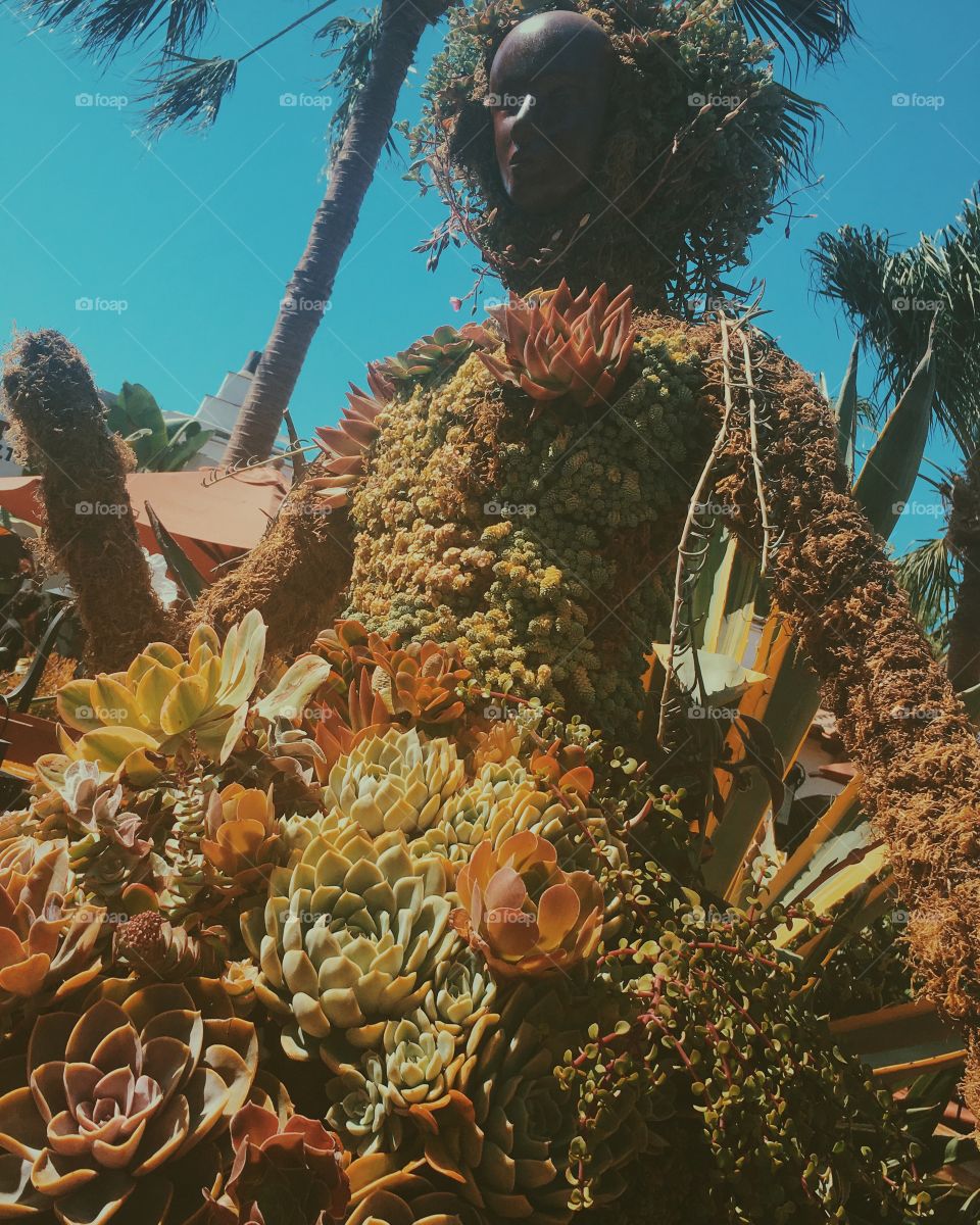 No Person, Cactus, Exotic, Underwater, Travel