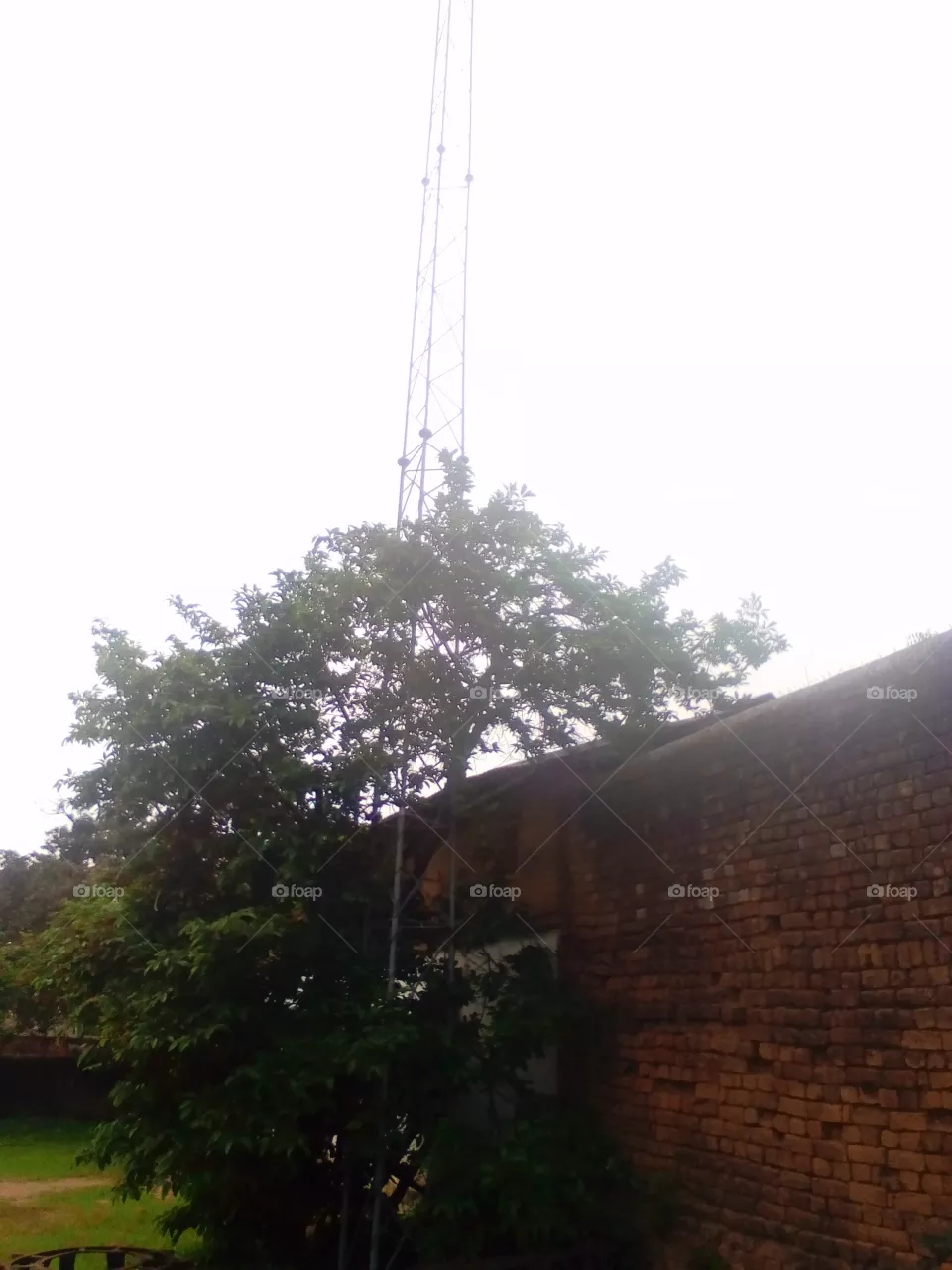 towers