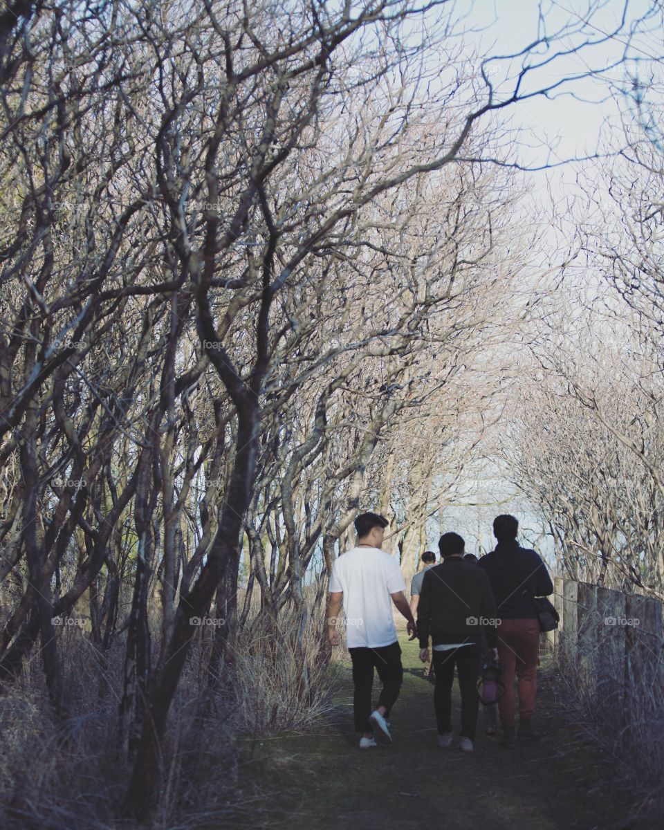 Group of friends walking through an empty forest