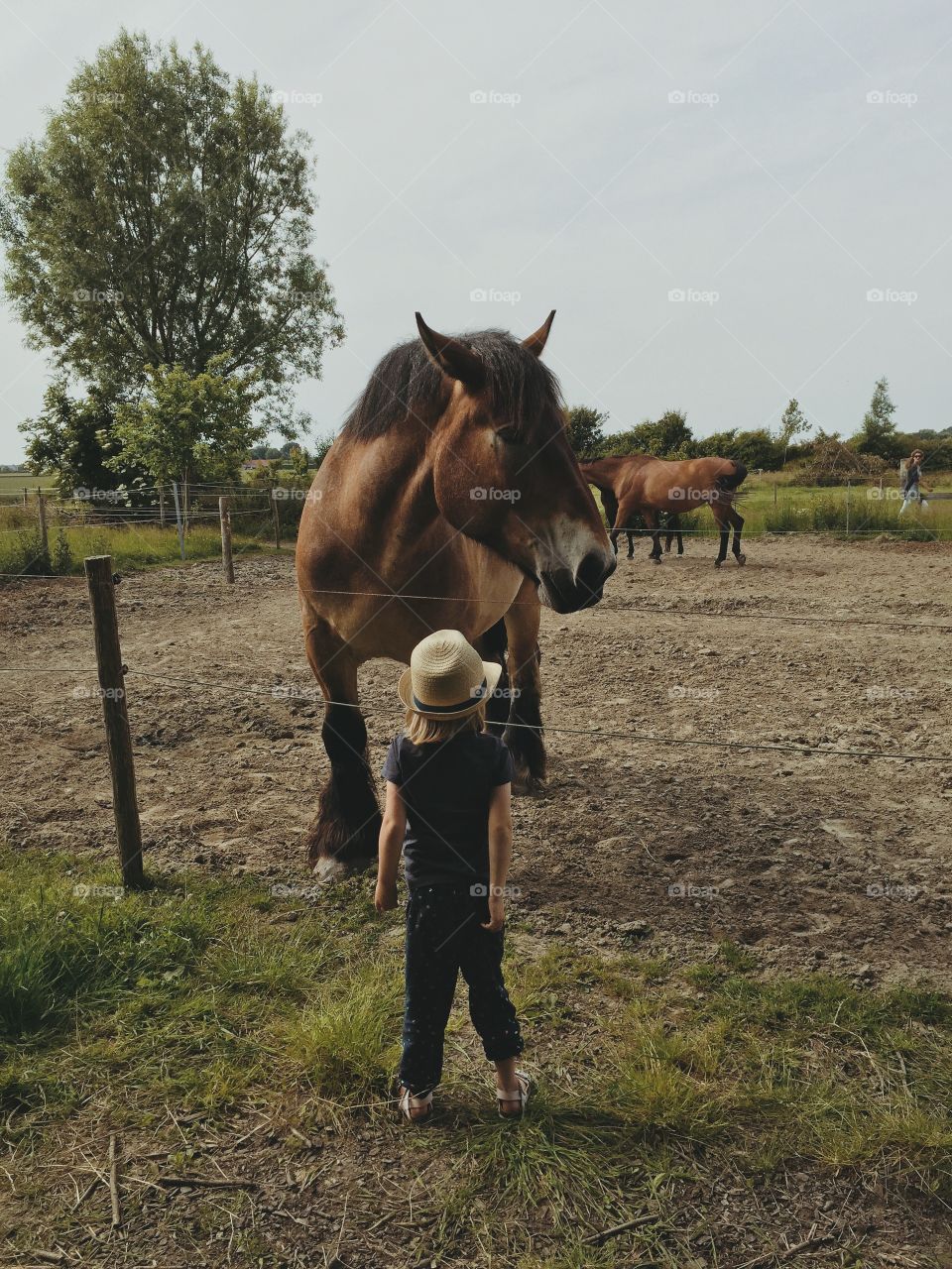 A girl and a horse
