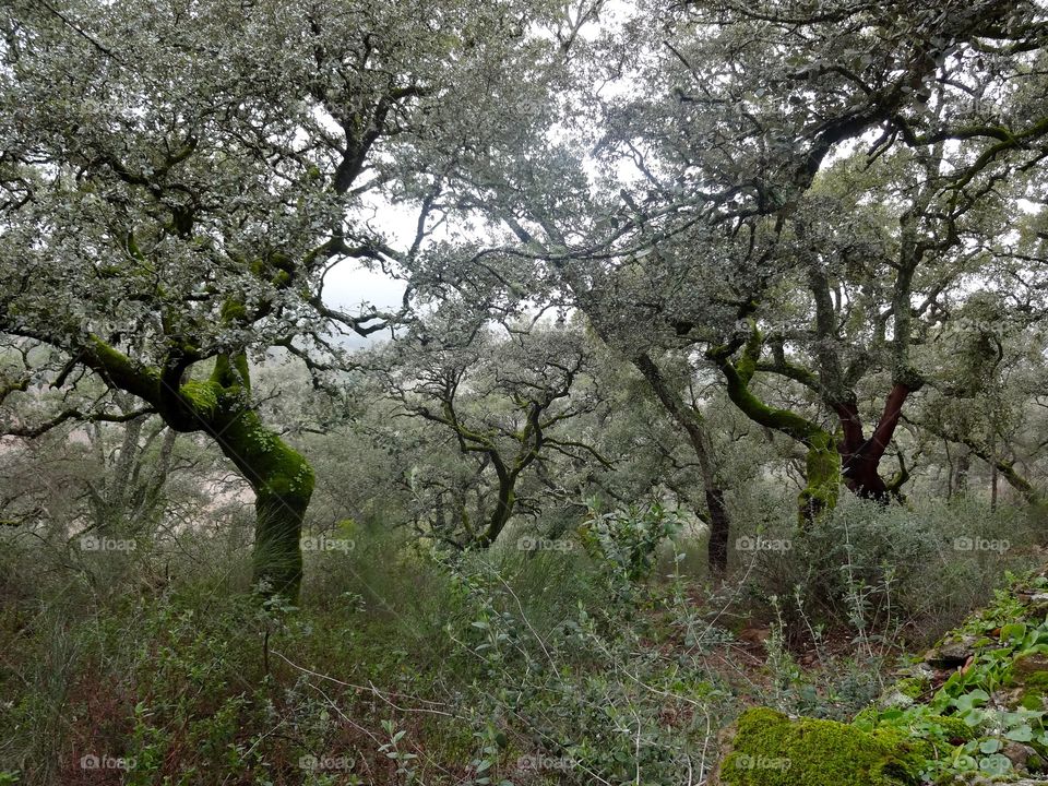 Hiking outside Sevilla, Spain