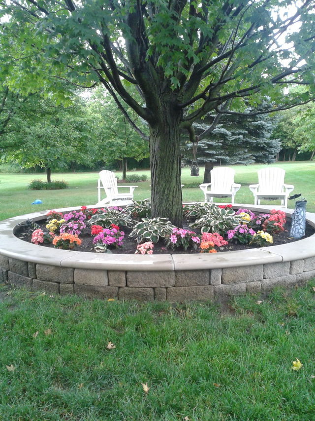 Momma's backyard