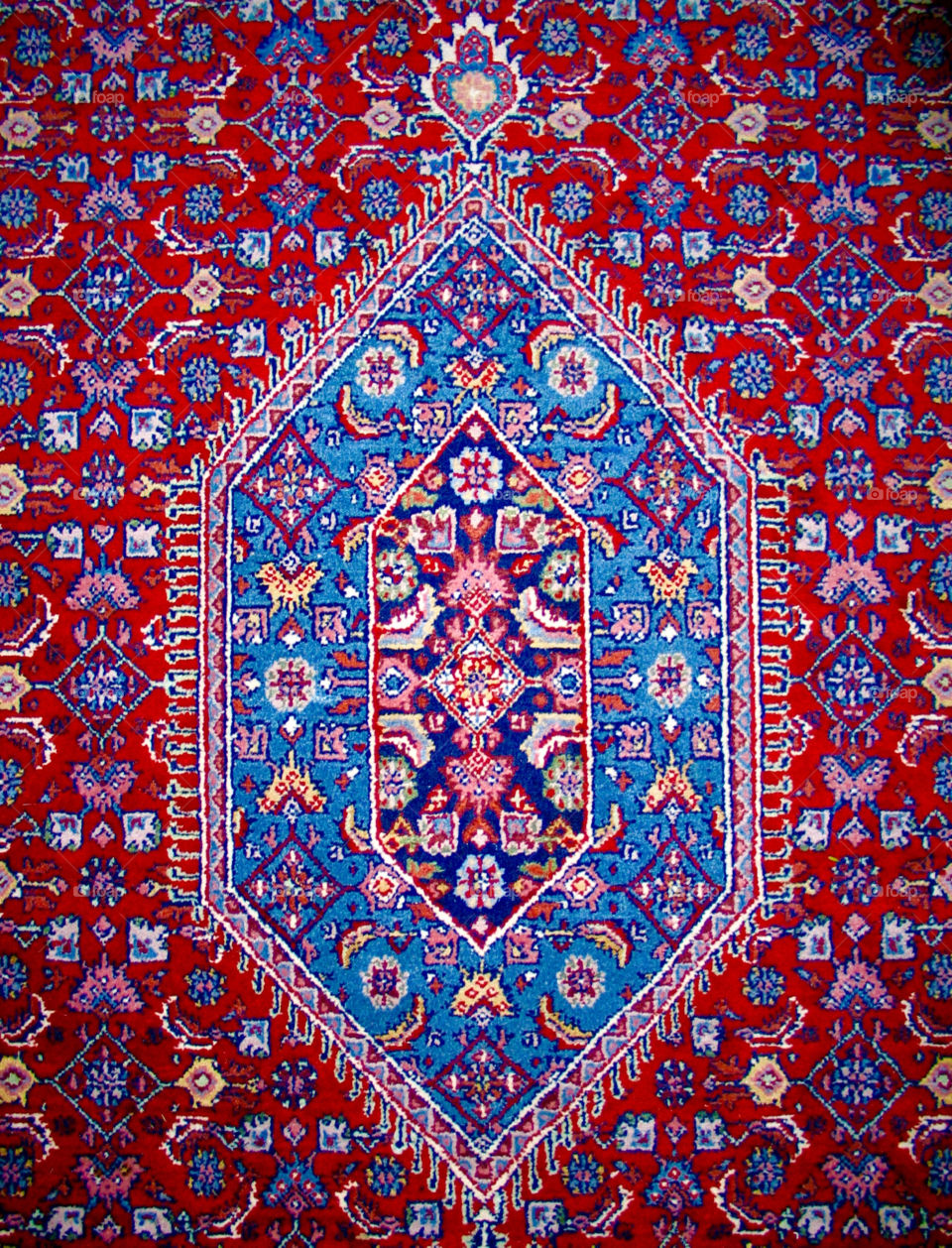 The carpet