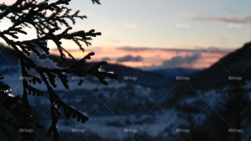 Doubt thou the stars are fire;
Doubt that the sun doth move;
Doubt truth to be a liar;
But never doubt I love.