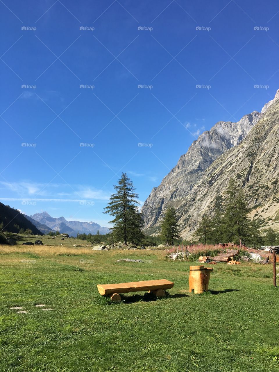 In the Alps - Val Ferret