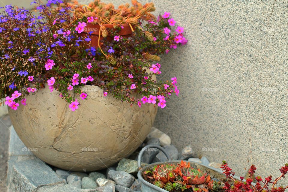 Blumentopf bepflanzt