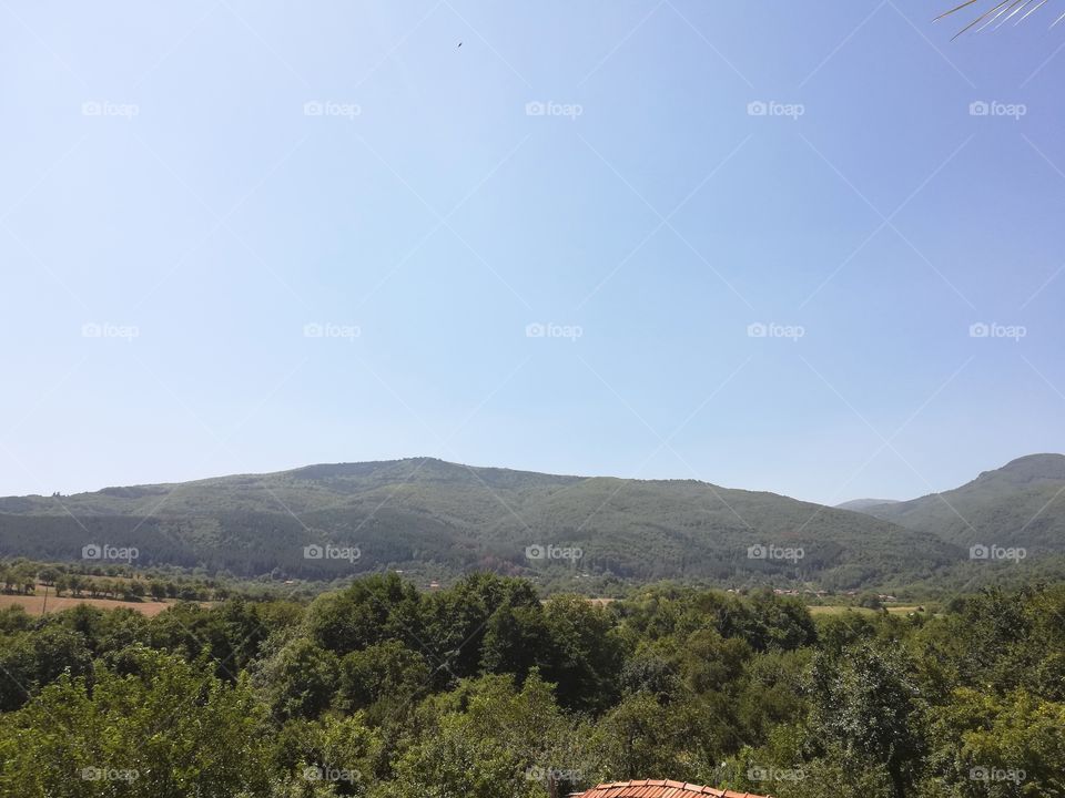 Mountain, forest, sky