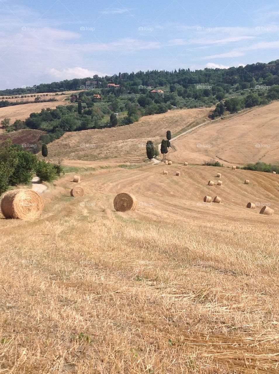 canmpagna toscana - campaign in tuscany