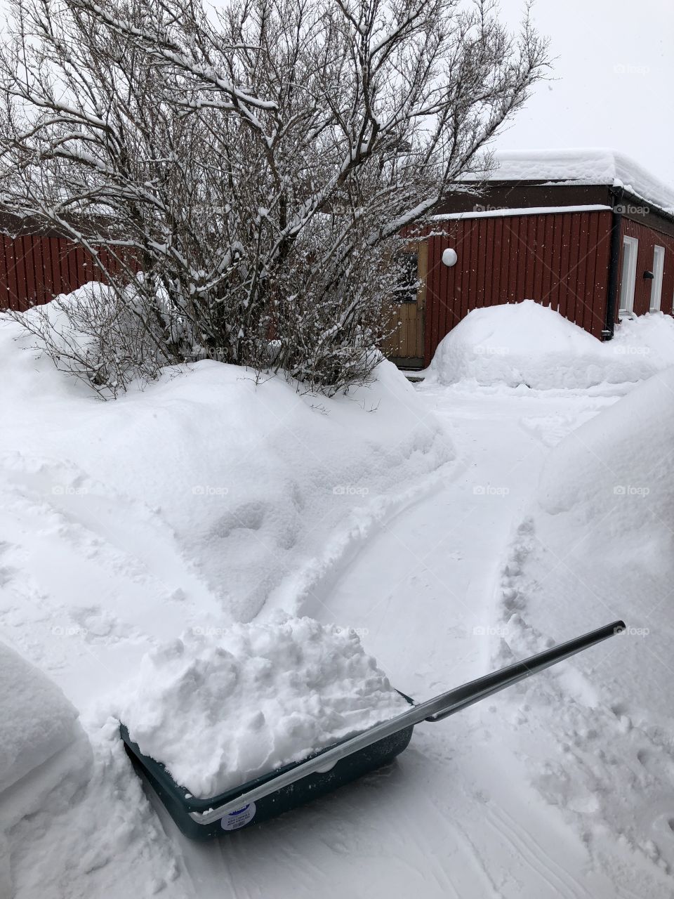 Shoveling snow