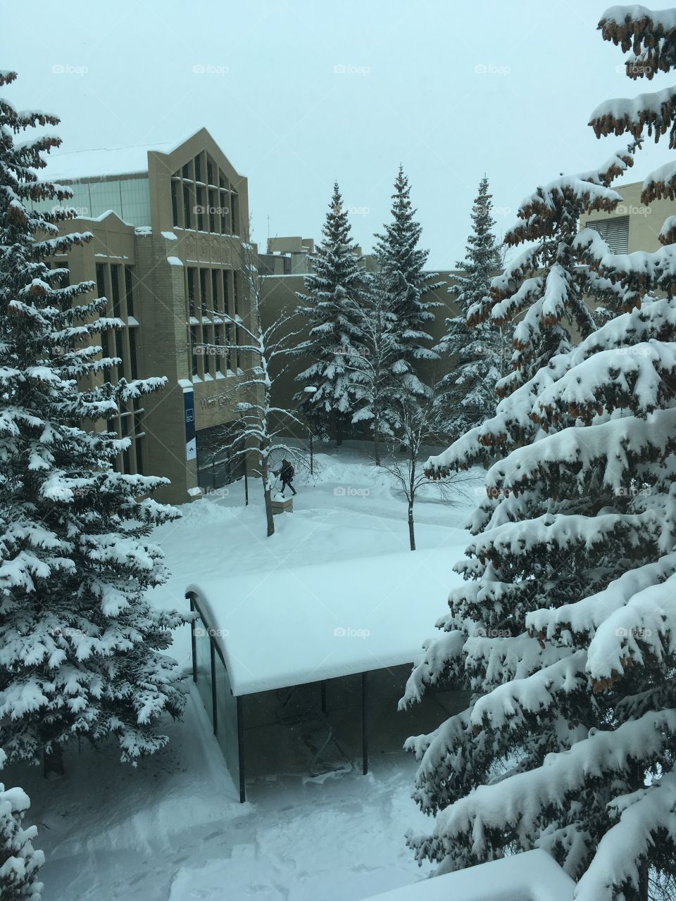 Snowy morning on campus 
