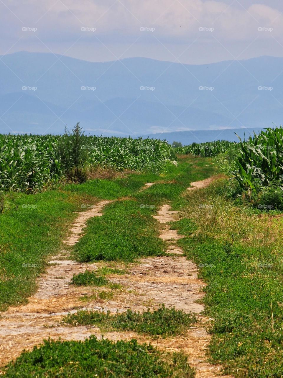 country road