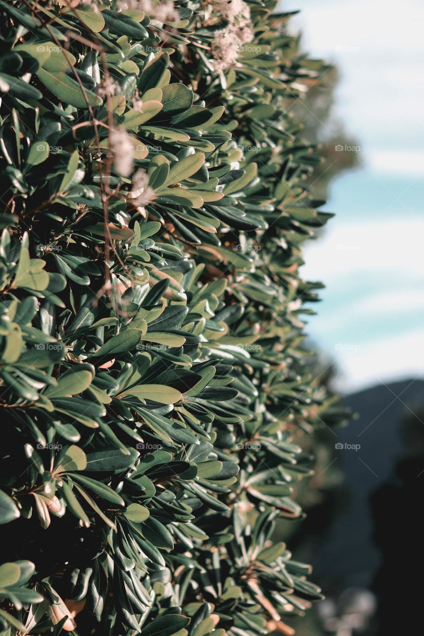 Dare to be different.  Each color in this photo will be experienced differently by each of us.  How beautiful life is.  Is it?