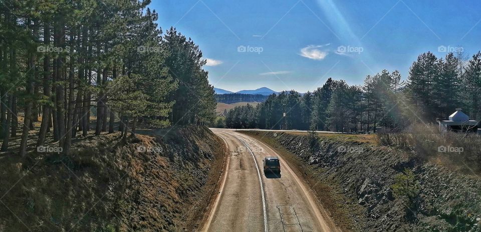 Road, Landscape, Tree, No Person, Wood
